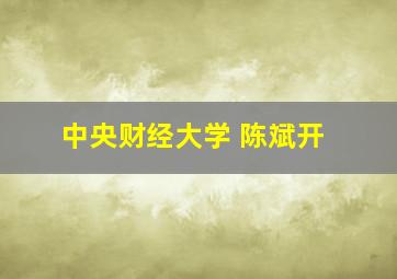 中央财经大学 陈斌开